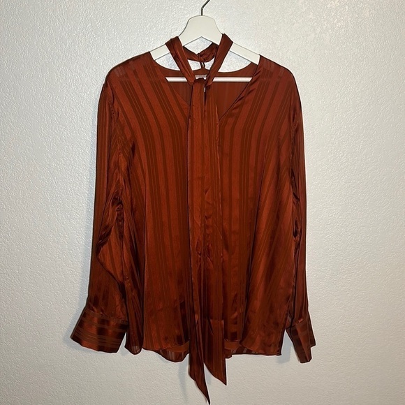 Chico’s Rust Stripe Blouse Neck Tie Size 4 (20/22) - Picture 1 of 10